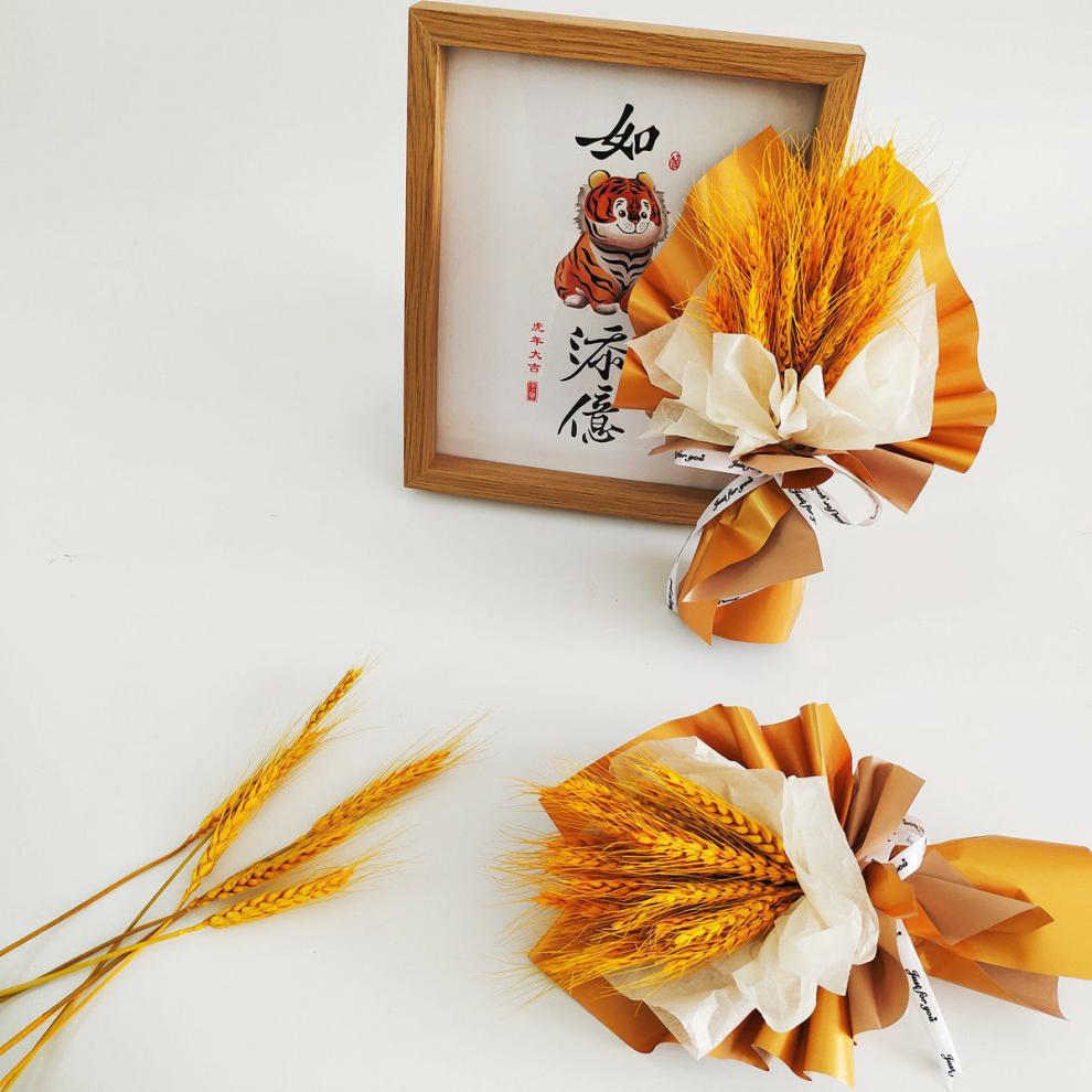 023b905c-cc4b-45cc-aadb-c6ce92711e28.jpe