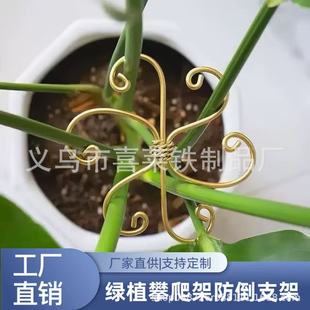 Cross-border plant pole support frame iron plant support flower arranging device lotus wire green plant climbing frame anti-fall bracket