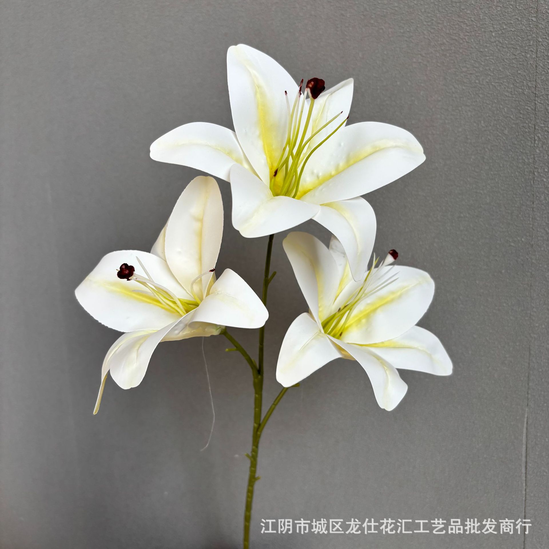 행복한 백합