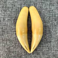 ߷ϻְѼ֬Ƿۺϳɴ؈