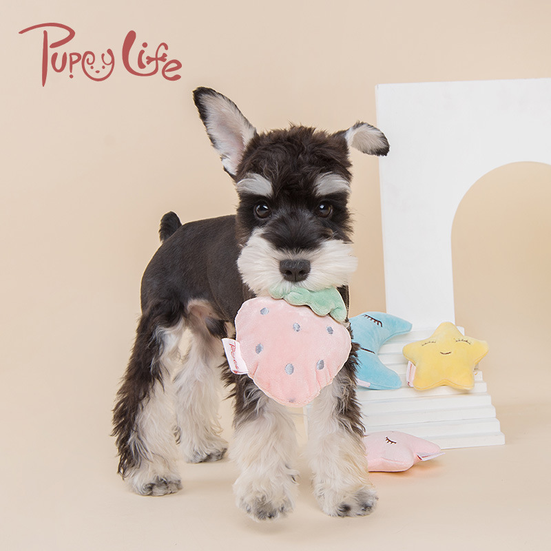 Cute Macaron-Colored Squeaky Toys for Small to Medium-Sized Dogs, Plush Chew and Teething Toys for Pets