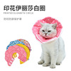 Cross -border color printing Elizabeth Circle wholesale pet headers anti -bite anti -lick protective cover