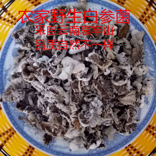 ��ϰ���ɽ�ׅ���ѩɏ���Ҙ仨��؛100�˃ɼ����]