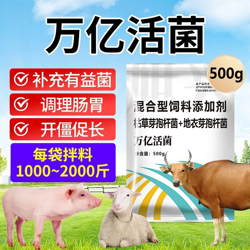 豚、牛、羊、家禽、鶏の飼育、肥育、体重増加、成長促進、腸の調節のための動物用プロバイオティクスの兆数の生菌|undefined