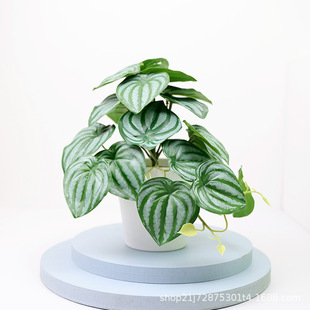 ����ֲ���辰�͏d�bٻ��[�O�����Gֲ�k����С��������ҾӔ[��