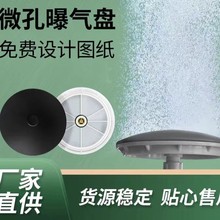 微孔曝气盘头加厚增氧膜片好氧池污水处理生物滤池曝气器套装