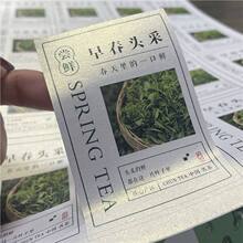 2026新茶春茶不干胶贴纸封口贴茶叶罐子盒子信阳毛尖碧螺春标签贴