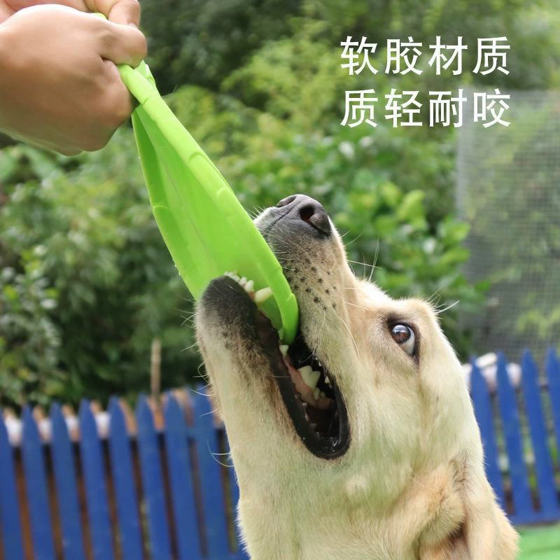 Toy, silicone frisbee for training, pet