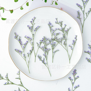 Baffle Lover Grass Dried Flowers Handmade Primary Color Natural Color Glue Drops Handmade Table Lamp Candle New Embossed Tuanjian Fan