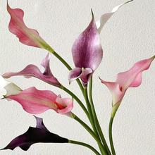 滨EVApRɏp^c廨͏dbܔ[ٻl