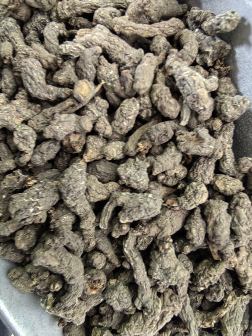 Tian Kui Zi (Semiaquilegia adoxoides) — Dried Food Herb Root, 500g quality and texture