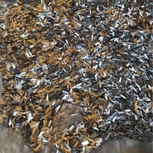 ���W� �X�僼ӹ�