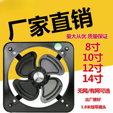 12�繤�I�����F���L���Ś��ȏN���͟����L�C����14��Q�����o��