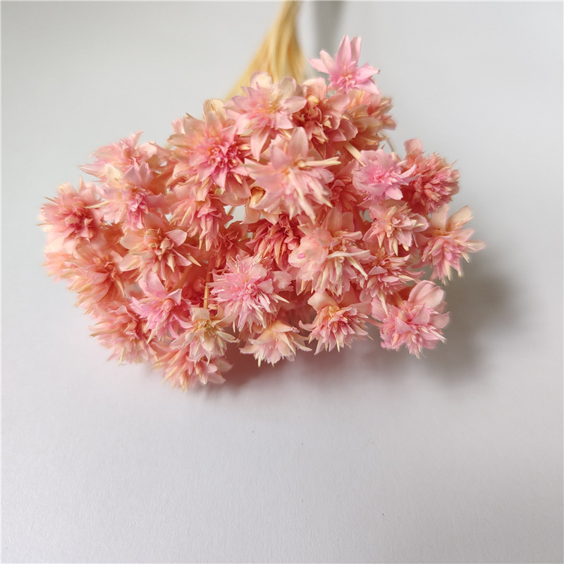 Small mountain flower dried flower bouquet decorative accent luxury high-end DIY material real dried flowers imported specimen floral materials