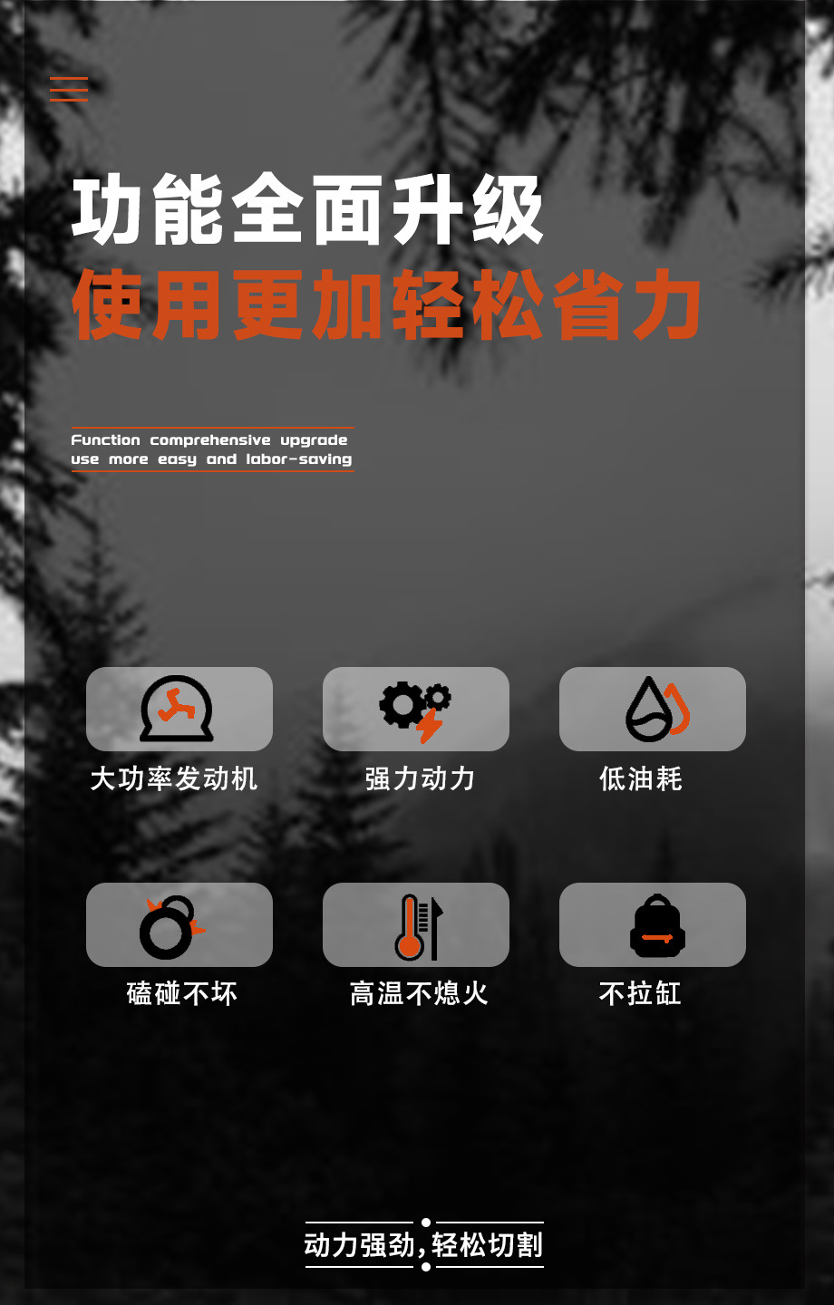 2.jpg?x-oss-process=image/format,png