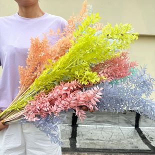 ���F�~������ins�Ҿ��b�c�b�diy���Ĕz������Ͽ羳���l