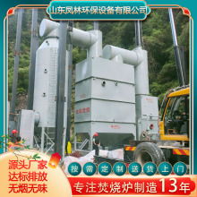 无烟秸秆气化炉 电动蓄热式焚烧炉 动物宠物焚化炉 无害化焚烧炉