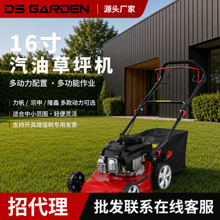 �S��ֱ�N����DSGARDE���Ͳ�ƺ�C16����ø�ݙC����ʽ�������l