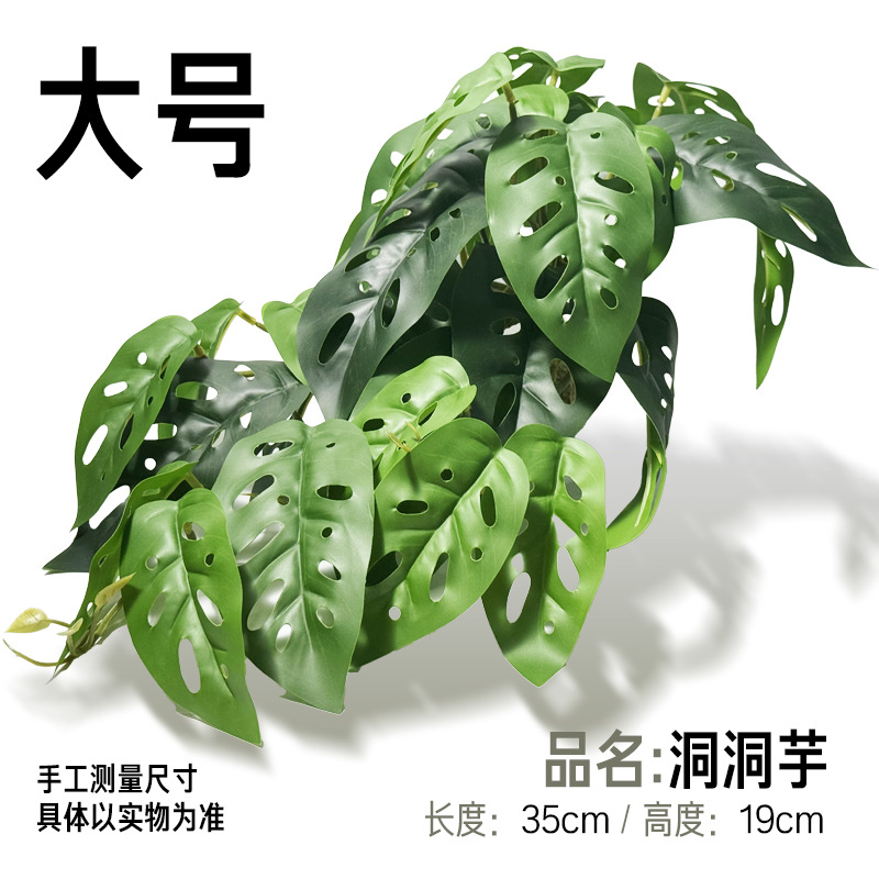 큰 구멍 토란