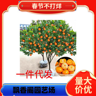 �������lɰ�ǽ��������o��ɰ������ɳ�ǽ��������箔��Y��