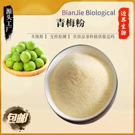 青梅粉500g 多规格青梅果粉  青梅提取物 水溶青梅粉
