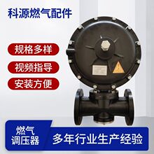 ��Ȼ��ȼ�ⷀ���p���yRTZ-FQ50�{����ȼ���C偠t�{���y���ڌ���