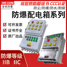 ����BXMD51������������IP66�T�X̼䓷����x���䙙�ӷ����z����