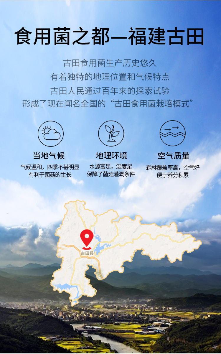 冻干红枣枸杞银耳燕窝羹(15gx10)69223515219