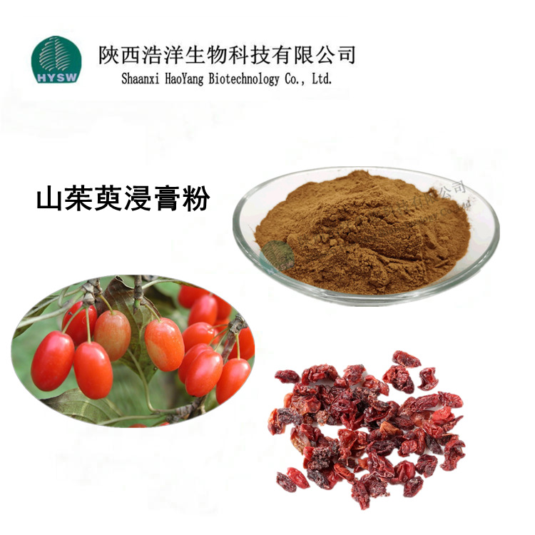 산수유수추출물농축분말 10:1