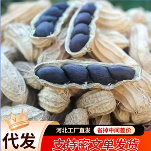 ���l���l�ڻ��������������ڻ�����Ƥ�����Ʋ����B�����e׷����ʳ