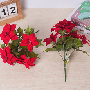 ���l���滨�ٻ��}�Q��һƷ�t�������ļ�������ؼٻ��껨��仨��