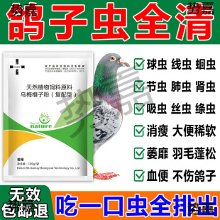 �����w������xș�������xș���x���xë���x���ô��xșȫ�x����ș