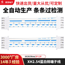 XH红蓝冷压端子排快速端子线母头排线连接器公母冷压加工定制