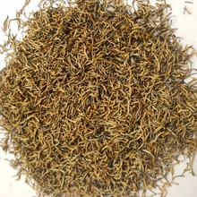 厂家供 柳州三江芽中芽2025年现货批发红茶茶叶量大价优