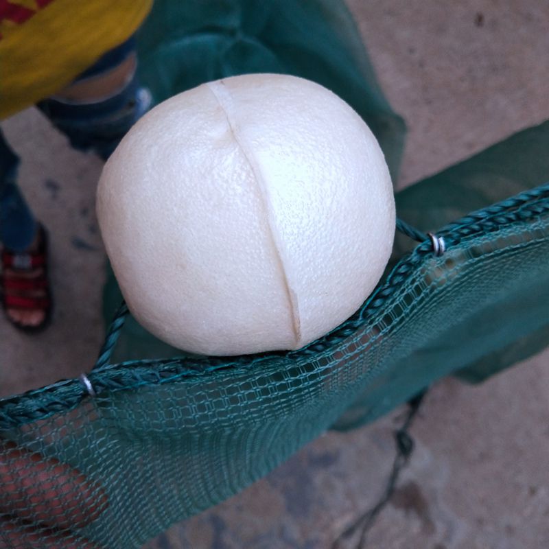 IMG_20180703_190820_副本