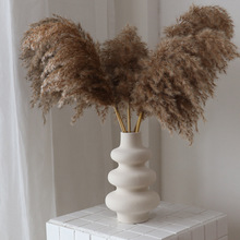 �AȦ��ƿ��ɫ�A�ǿ羳����[���Ҿ��b�