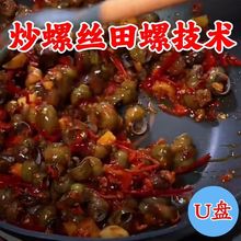 田螺螺蛳做法教学U盘 炒螺丝香辣田螺炒料配方炒田螺视频商用优盘