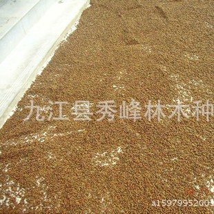 �t��ɼ���l�S��ľ�|�ߙnɳ�ӌ����ξ��^��