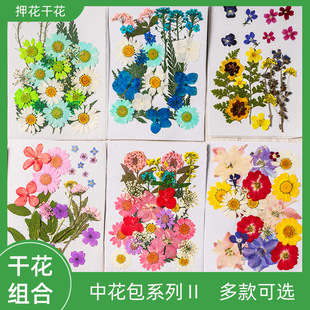 �ɻ�����diy���ϰ�ֲ��˱��ֹ��������z�֙C��ֲ������b�Ʒ