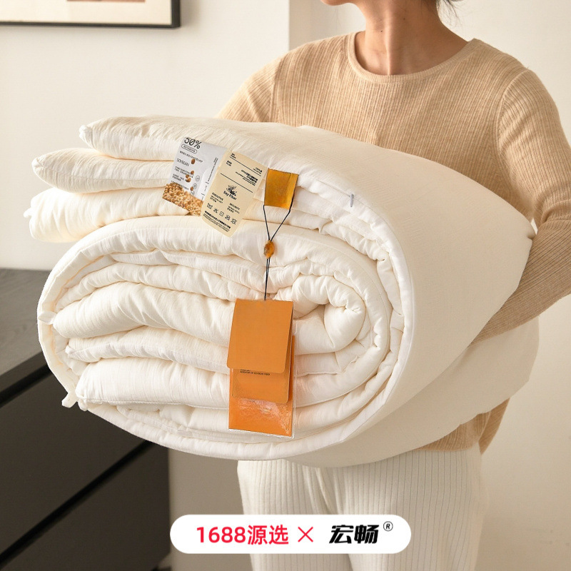 Category a Maternal and Infant Grade Cotton 50% Soy Fiber Winter Quilt All Year Round Quilt Pure Cotton Summer Quilt Spring & Fall Quilt Thickeneded Warm Quilt Core