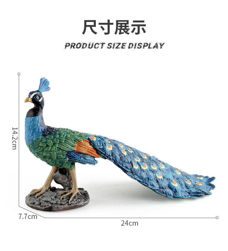 孔雀_08.jpg