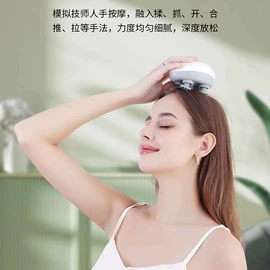 卷发/直发器;头部按摩机;车用吸尘器