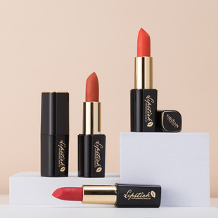 Lipstick Ya Baolian Influencer Picks Waterproof Moisturizing Matte Lipstick Set Iron Magnet Cross-Border Lipstick Lipstick Wholesale