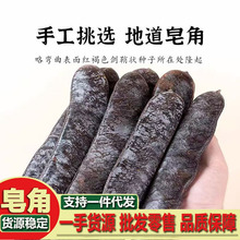 猪牙皂野生猪牙皂皂角野生大荚天然皂荚中药材侧柏叶洗发养发增发
