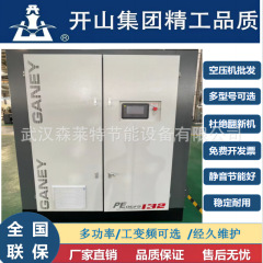 開山二級中圧微油コンプレッサースクリューインバータ大電力132kw鉱業用静音工業級