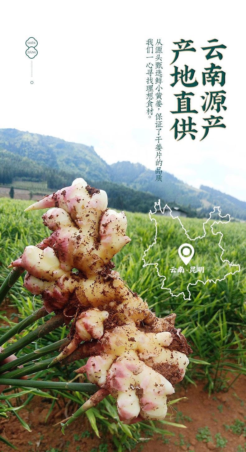 Dried Ginger Root Slices Gan Jiang 500g Yunnan Small Yellow Ginger Tea and Decoction Herb specifications
