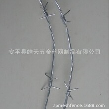 ���x���̴̽z�K��·�� ���S���o�����F�z  Ȧ�ط��P���K���F�z