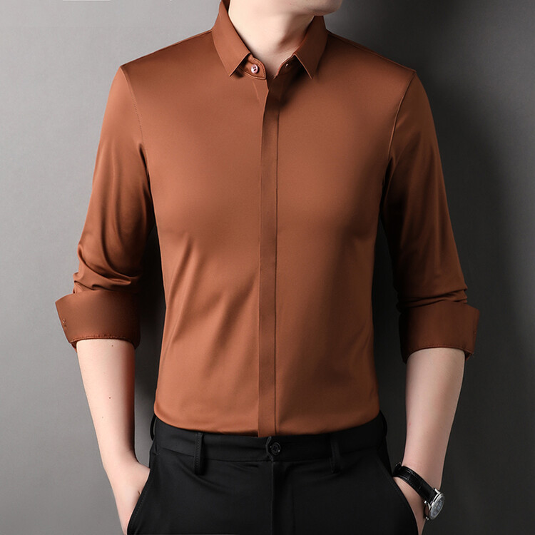 Cross-Border Foreign Trade European and American Style Men's Long-Sleeve Shirt with Hidden Placket, Solid Color, Wrinkle-Free, No-Iron, Hidden Buttons, Men's Business Dress Shirt Cross-Border Foreign Trade European and American Style Men's Long-Sleeve Shirt with Hidden Placket, Solid Color, Wrinkle-Free, No-Iron, Hidden Buttons, Men's Business Dress Shirt
