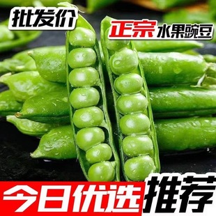 �Fժ�㶹���r����ඹ���������r���߲����vˮ���ۮ���������]