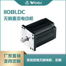 110BLDCֱ���oˢ늙C�_�T�C�l�C��������ƽ̨С��΢����늄�